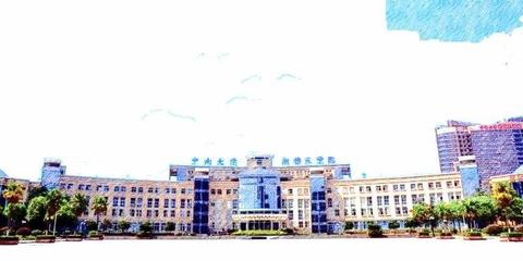 以重慶市本科批投檔數(shù)據(jù)為例,看一看中南大學的哪些專業(yè)最熱門?