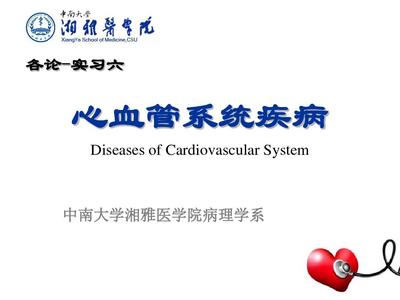 實習六-心血管系統PPT