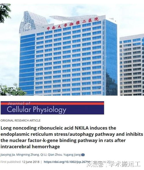 學術誠信警鐘再響 中南大學湘雅二醫院論文圖片重復事件引發關注與反思