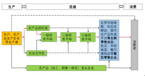 數(shù)智賦能 鏈通未來(lái) 我國(guó)生鮮農(nóng)產(chǎn)品流通新趨勢(shì)及軟件開發(fā)展望